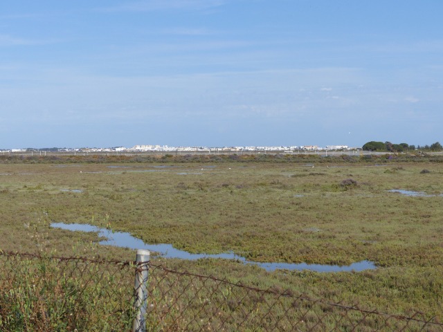 Finca ZONA DEL CAMINO DE VALDIVIA Ayamonte HUELVA