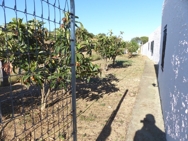 Finca ZONA DEL CAMINO DE VALDIVIA Ayamonte HUELVA