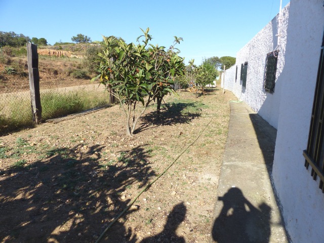 Finca ZONA DEL CAMINO DE VALDIVIA Ayamonte HUELVA