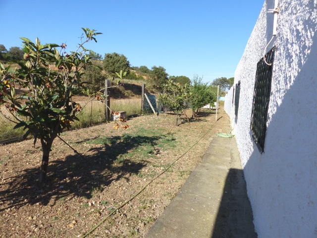 Finca ZONA DEL CAMINO DE VALDIVIA Ayamonte HUELVA