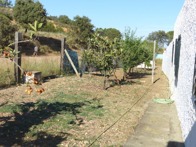 Finca ZONA DEL CAMINO DE VALDIVIA Ayamonte HUELVA