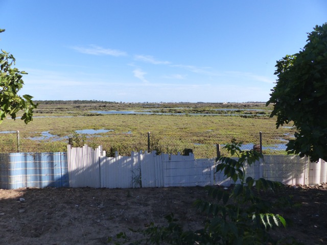 Finca ZONA DEL CAMINO DE VALDIVIA Ayamonte HUELVA