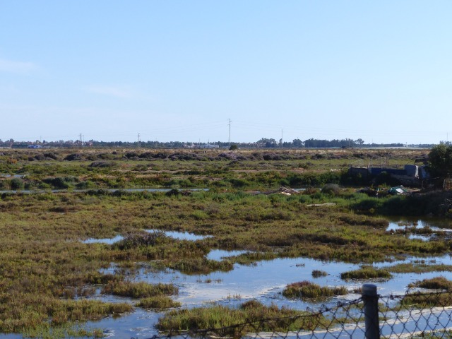 Finca ZONA DEL CAMINO DE VALDIVIA Ayamonte HUELVA