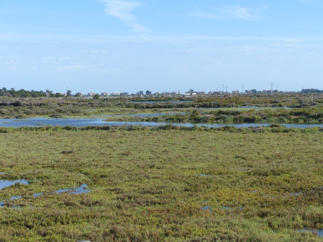 Finca ZONA DEL CAMINO DE VALDIVIA Ayamonte HUELVA