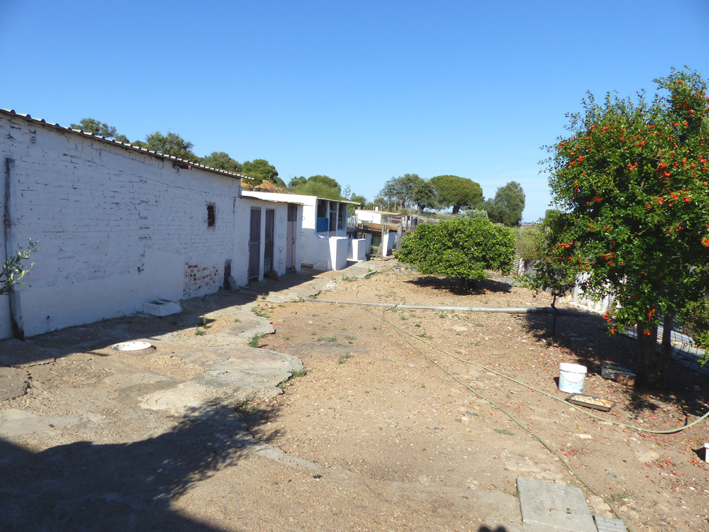 Finca ZONA DEL CAMINO DE VALDIVIA Ayamonte HUELVA